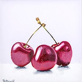 Slikar Stefan Petković