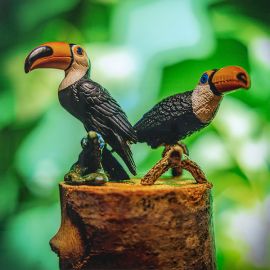 Fotograf Aleksandar Damnjanović