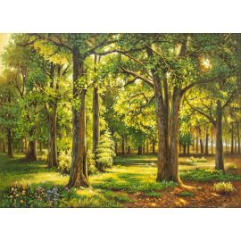 Zlatni ples svetlosti - Sergej Stepanov - Stepanov-9