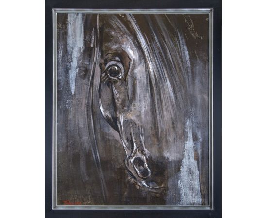 Crni lepotan - Dragan Petrović Pavle - DPP-639