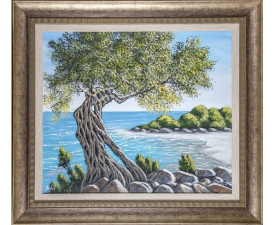 Drvo masline na obali mora - Jadran Đukić - JĐ-61