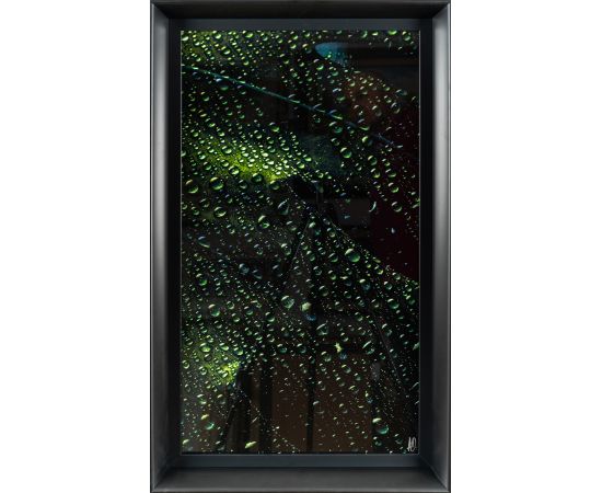 List sa kapljicama vode - Aleksandar Damnjanović - ADFOTO-3 List sa kapljicama vode - Aleksandar Damnjanović - ADFOTO-3