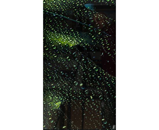 List sa kapljicama vode - Aleksandar Damnjanović - ADFOTO-3 List sa kapljicama vode - Aleksandar Damnjanović - ADFOTO-3