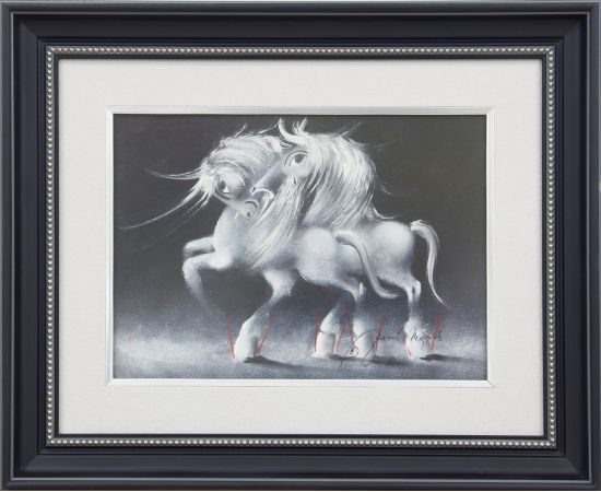 Ples pogleda -  Janoš Mesaroš - JM-495