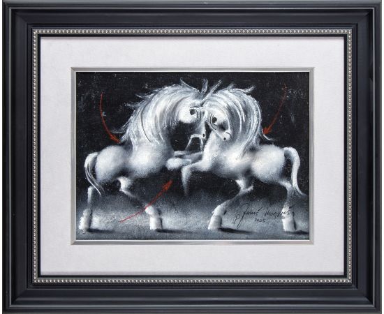 Noćni pogledi - Janoš Mesaroš - JM-511